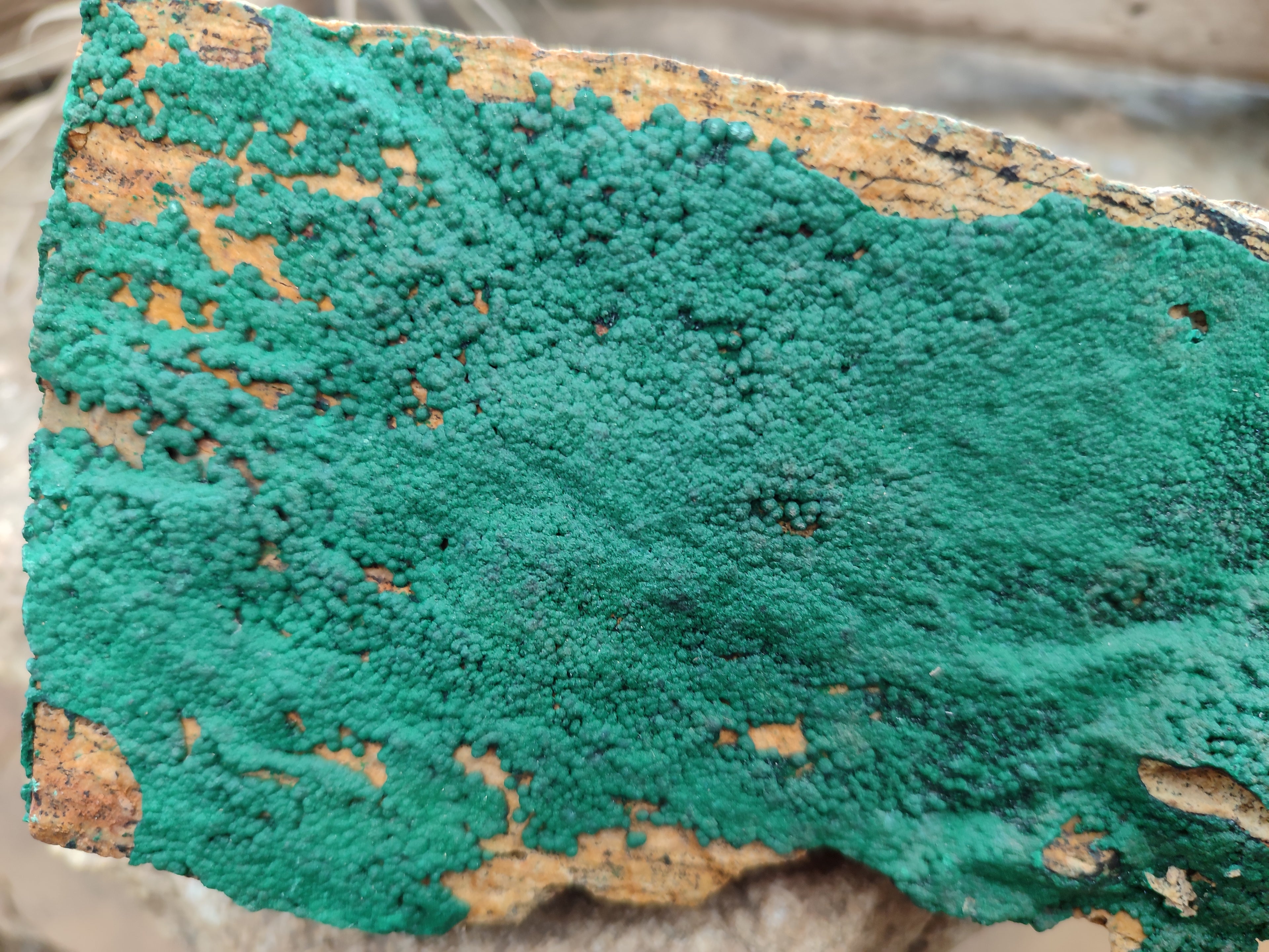 Natural Botryoidal Malachite Specimens x 2 From Congo - Toprock Gemstones and Minerals 