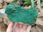 Natural Botryoidal Malachite Specimens x 2 From Congo - Toprock Gemstones and Minerals 