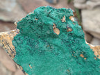 Natural Botryoidal Malachite Specimens x 2 From Congo - Toprock Gemstones and Minerals 