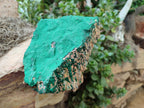 Natural Botryoidal Malachite Specimens x 2 From Congo - Toprock Gemstones and Minerals 
