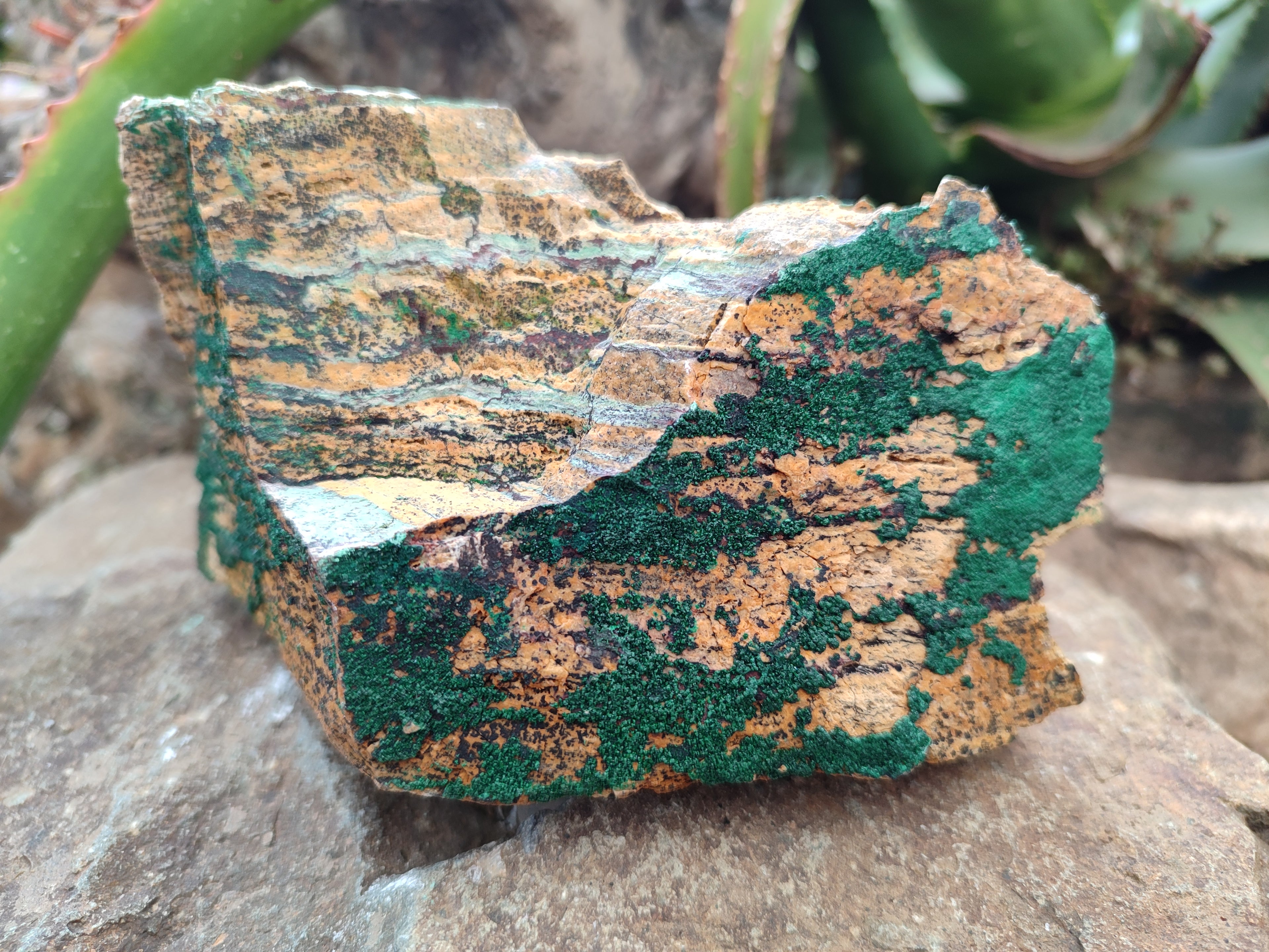 Natural Botryoidal Malachite Specimens x 2 From Congo - Toprock Gemstones and Minerals 