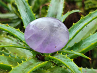 Polished Chevron Amethyst Palm Stones x 20 from Ankazobe, Madagascar - Toprock Gemstones and Minerals 