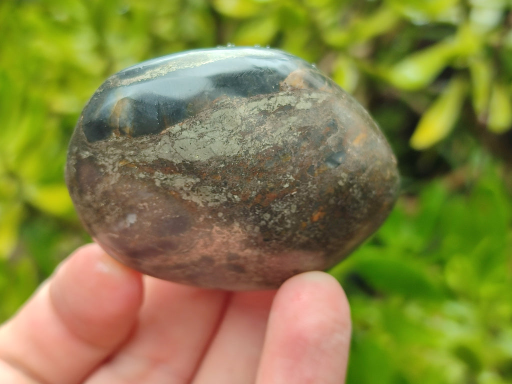 Polished Pharaoh Stone Free Forms x 12 From Zimbabwe - Toprock Gemstones and Minerals 