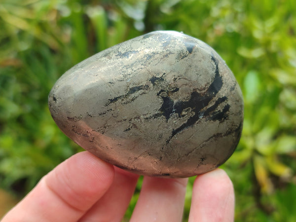 Polished Pharaoh Stone Free Forms x 12 From Zimbabwe - Toprock Gemstones and Minerals 