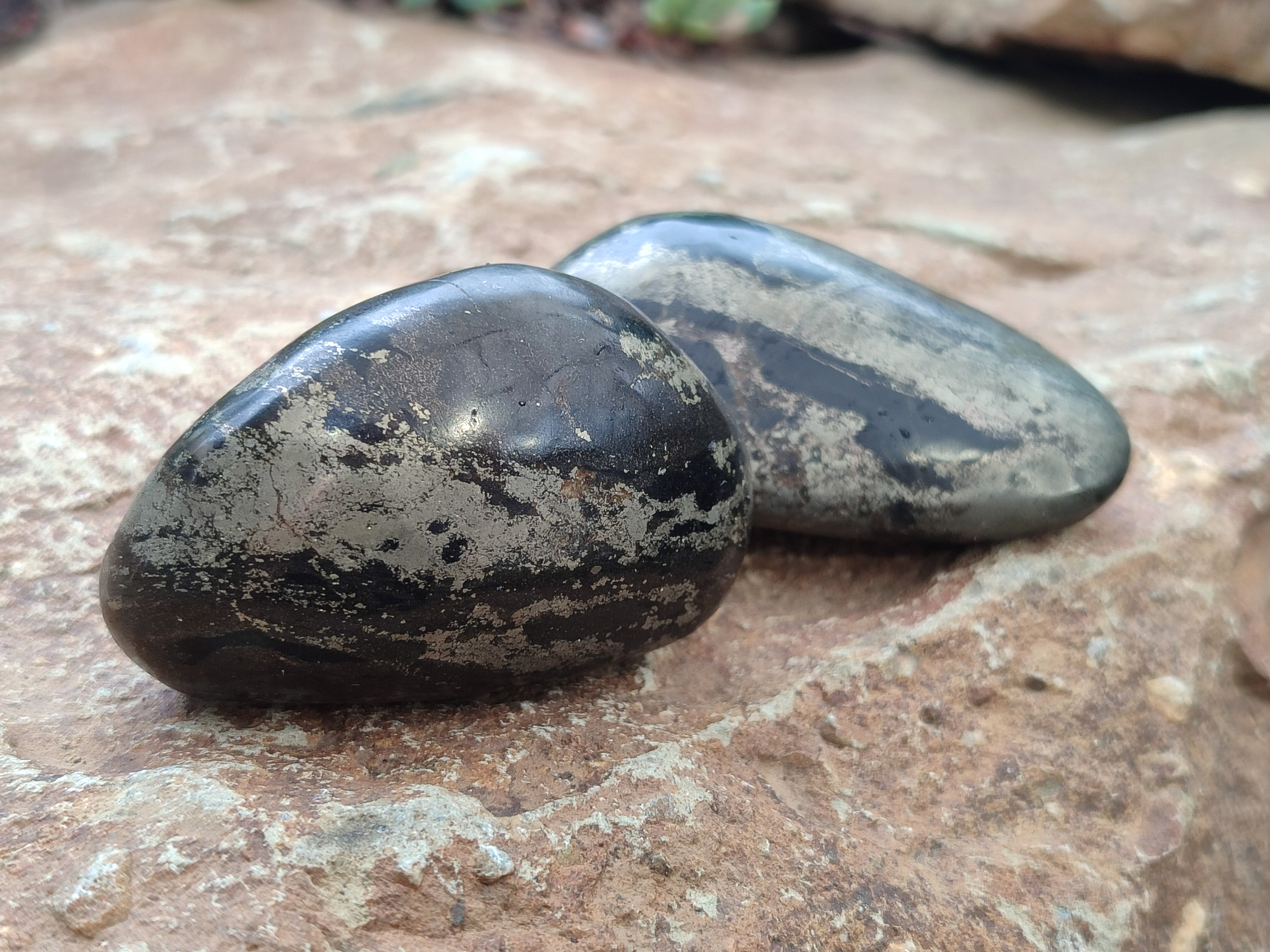 Polished Pharaoh Stone Free Forms x 12 From Zimbabwe - Toprock Gemstones and Minerals 