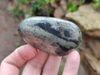 Polished Pharaoh Stone Free Forms x 12 From Zimbabwe - Toprock Gemstones and Minerals 