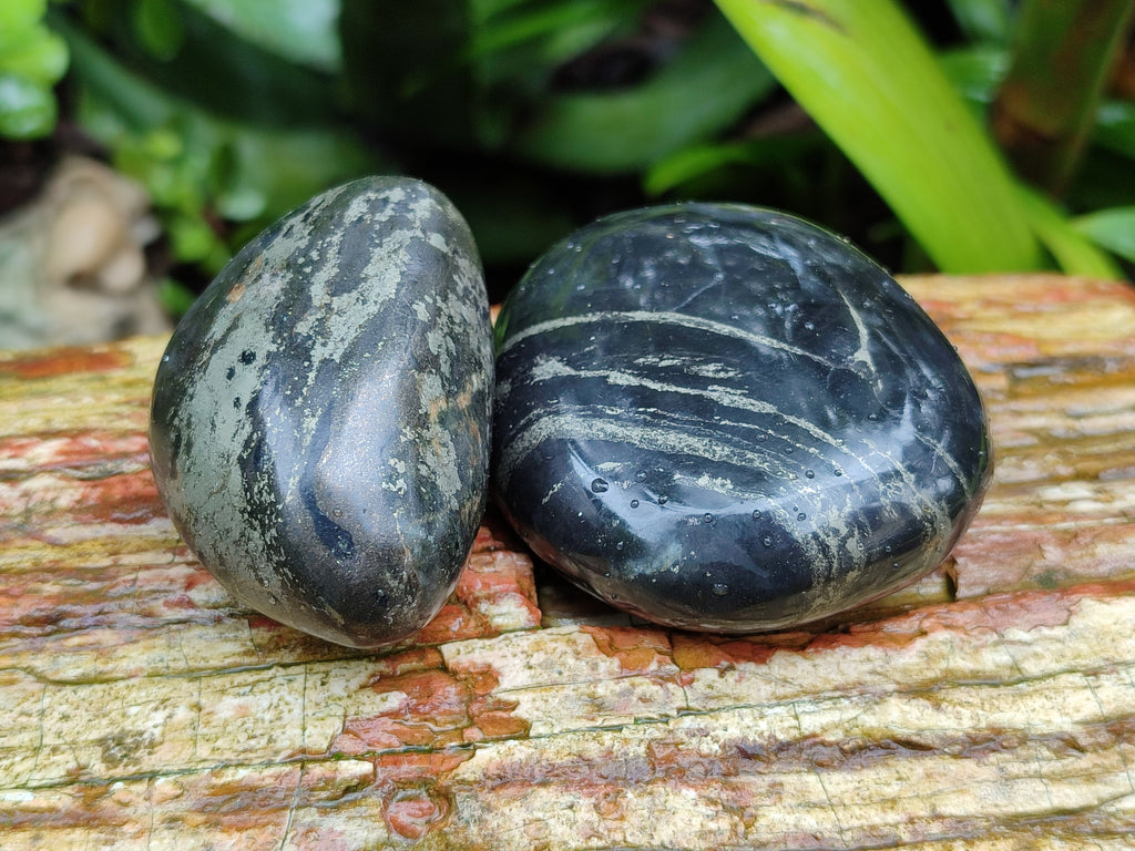 Polished Pharaoh Stone Free Forms x 12 From Zimbabwe - Toprock Gemstones and Minerals 