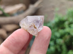 Natural Royal Zulu Amethyst Crystals x 70 from KwaZulu Natal, South Africa - Toprock Gemstones and Minerals 