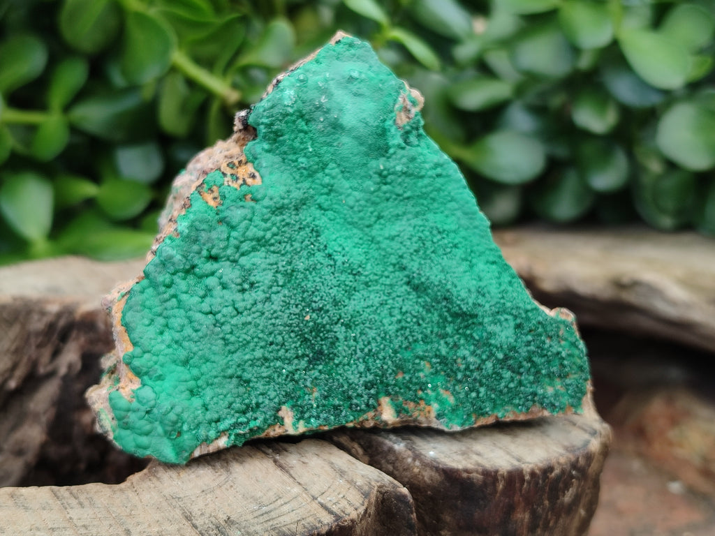 Natural Botryoidal Malachite Specimens x 6 From Congo - Toprock Gemstones and Minerals 