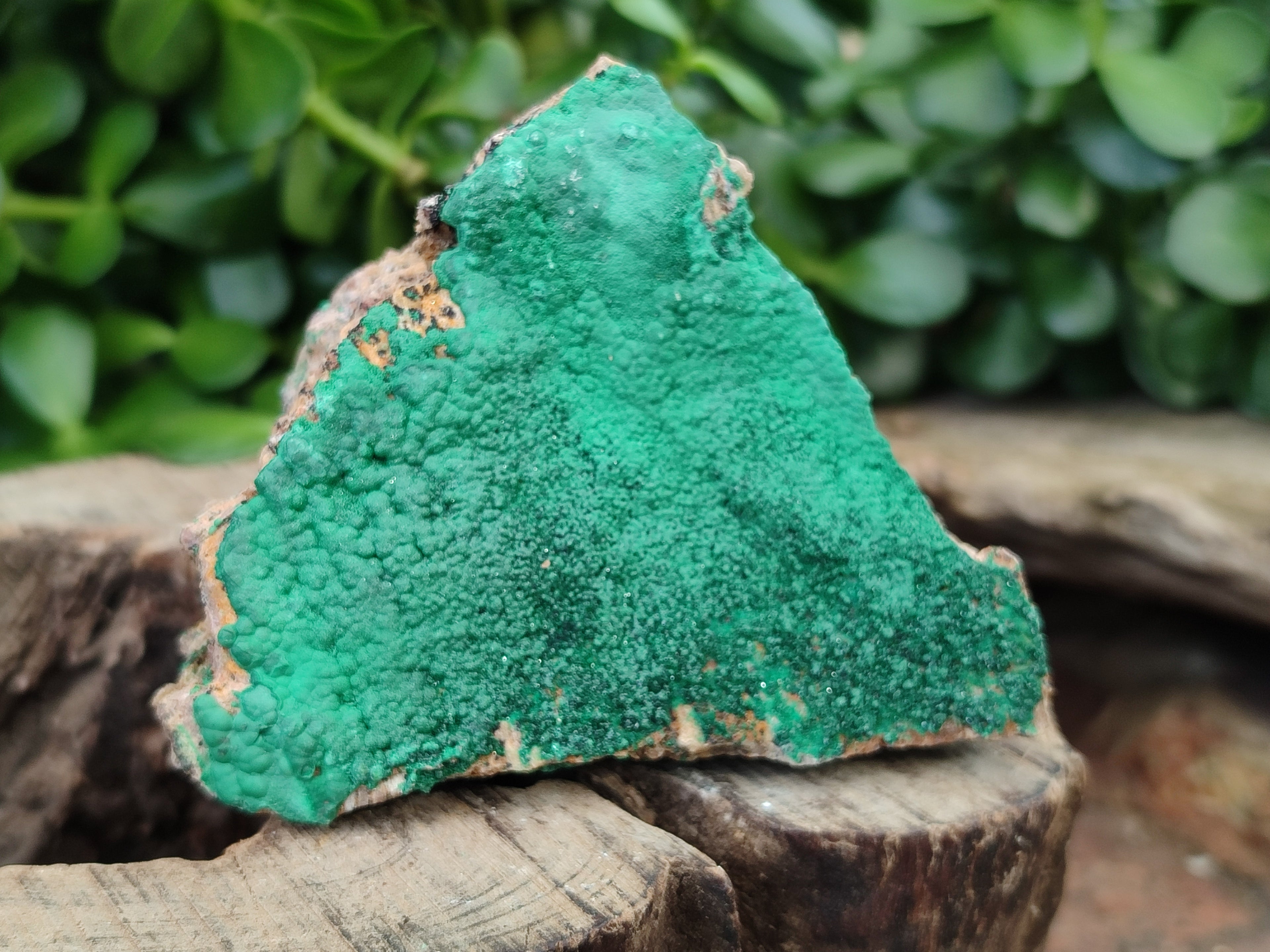 Natural Botryoidal Malachite Specimens x 6 From Congo - Toprock Gemstones and Minerals 