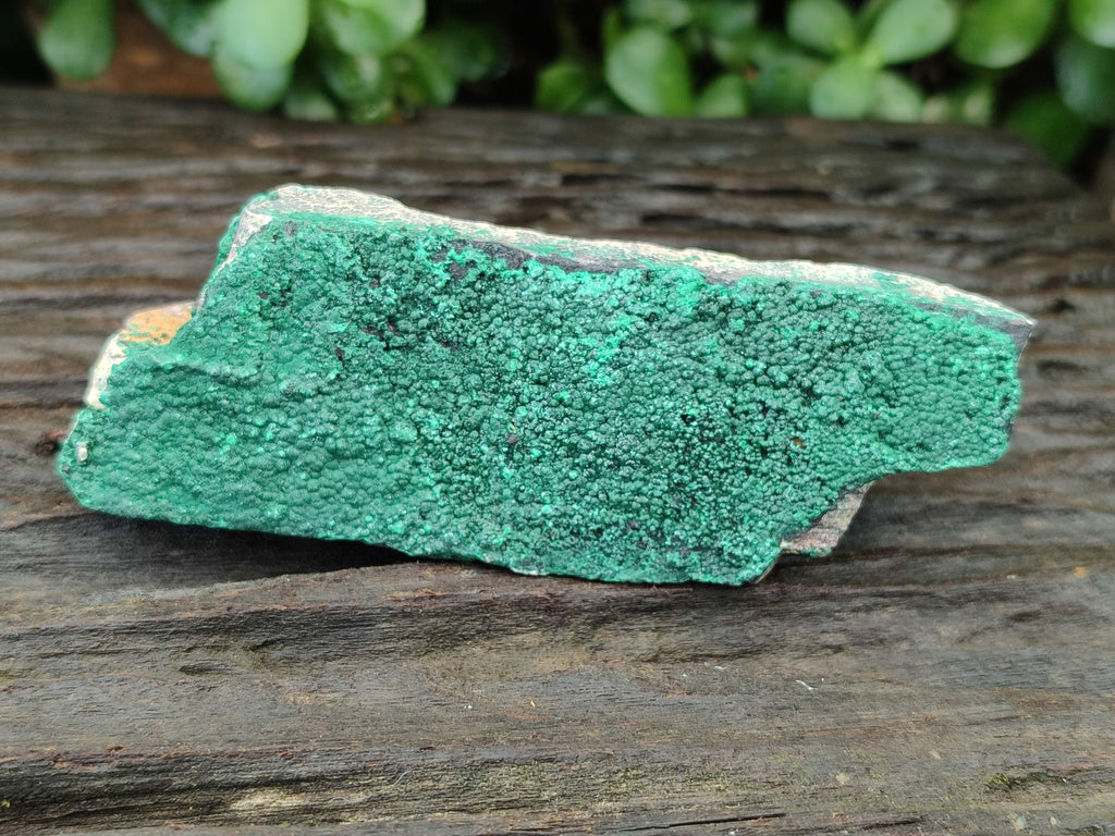 Natural Botryoidal Malachite Specimens x 6 From Congo - Toprock Gemstones and Minerals 