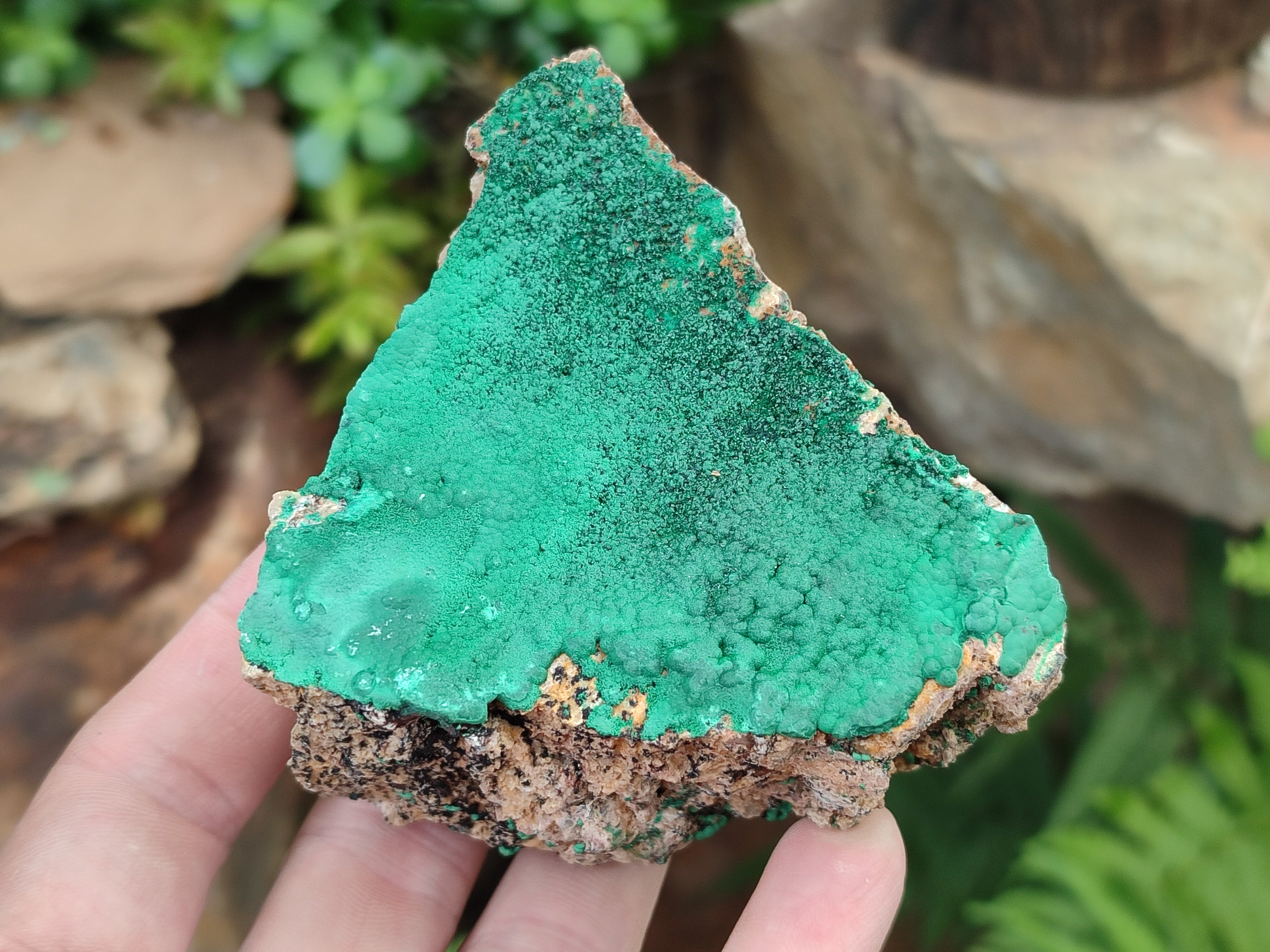 Natural Botryoidal Malachite Specimens x 6 From Congo - Toprock Gemstones and Minerals 