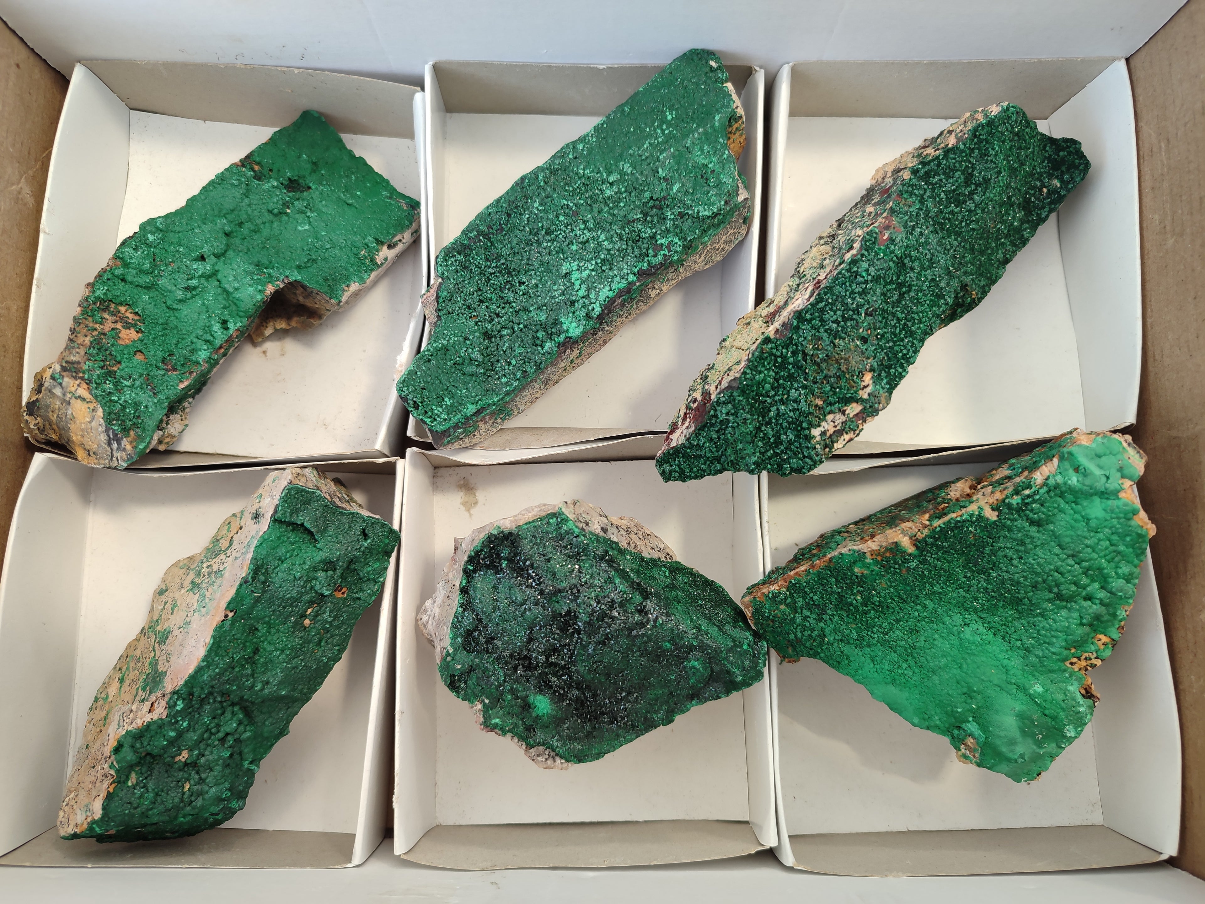Natural Botryoidal Malachite Specimens x 6 From Congo - Toprock Gemstones and Minerals 