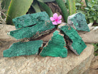 Natural Botryoidal Malachite Specimens x 6 From Congo - Toprock Gemstones and Minerals 