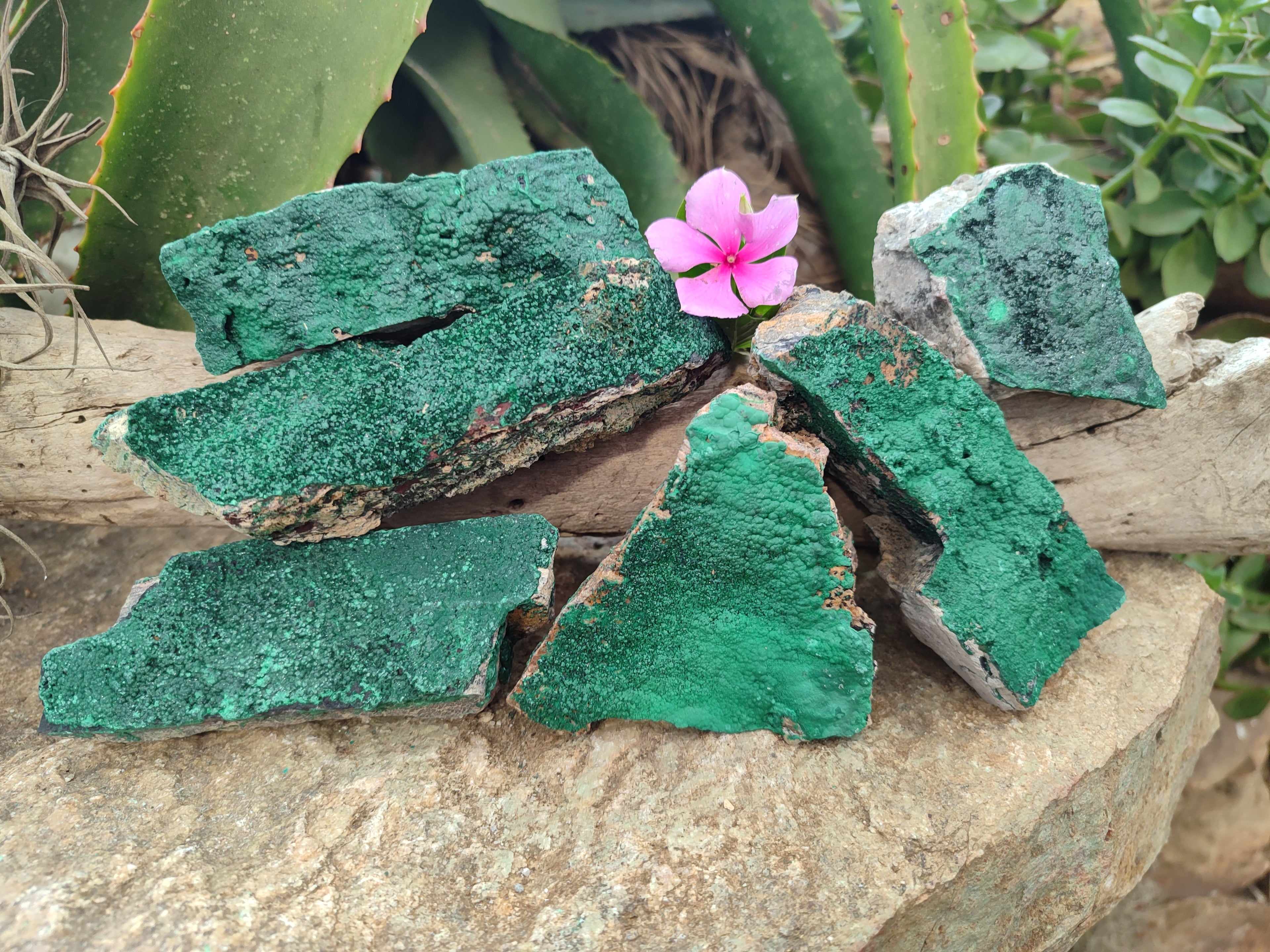 Natural Botryoidal Malachite Specimens x 6 From Congo - Toprock Gemstones and Minerals 