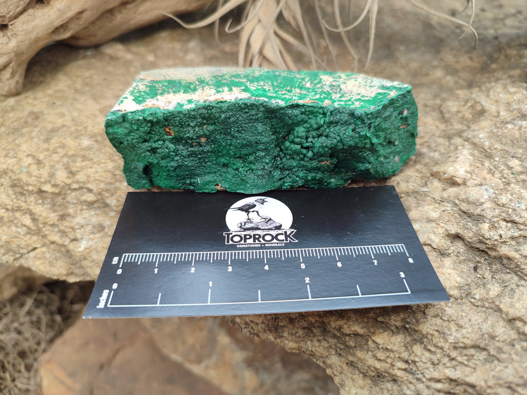 Natural Botryoidal Malachite Specimens x 6 From Congo - Toprock Gemstones and Minerals 