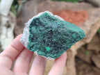 Natural Botryoidal Malachite Specimens x 6 From Congo - Toprock Gemstones and Minerals 