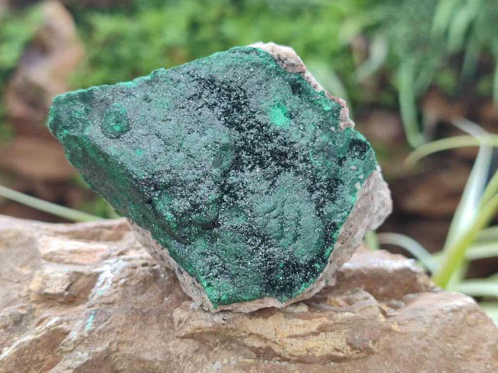 Natural Botryoidal Malachite Specimens x 6 From Congo - Toprock Gemstones and Minerals 