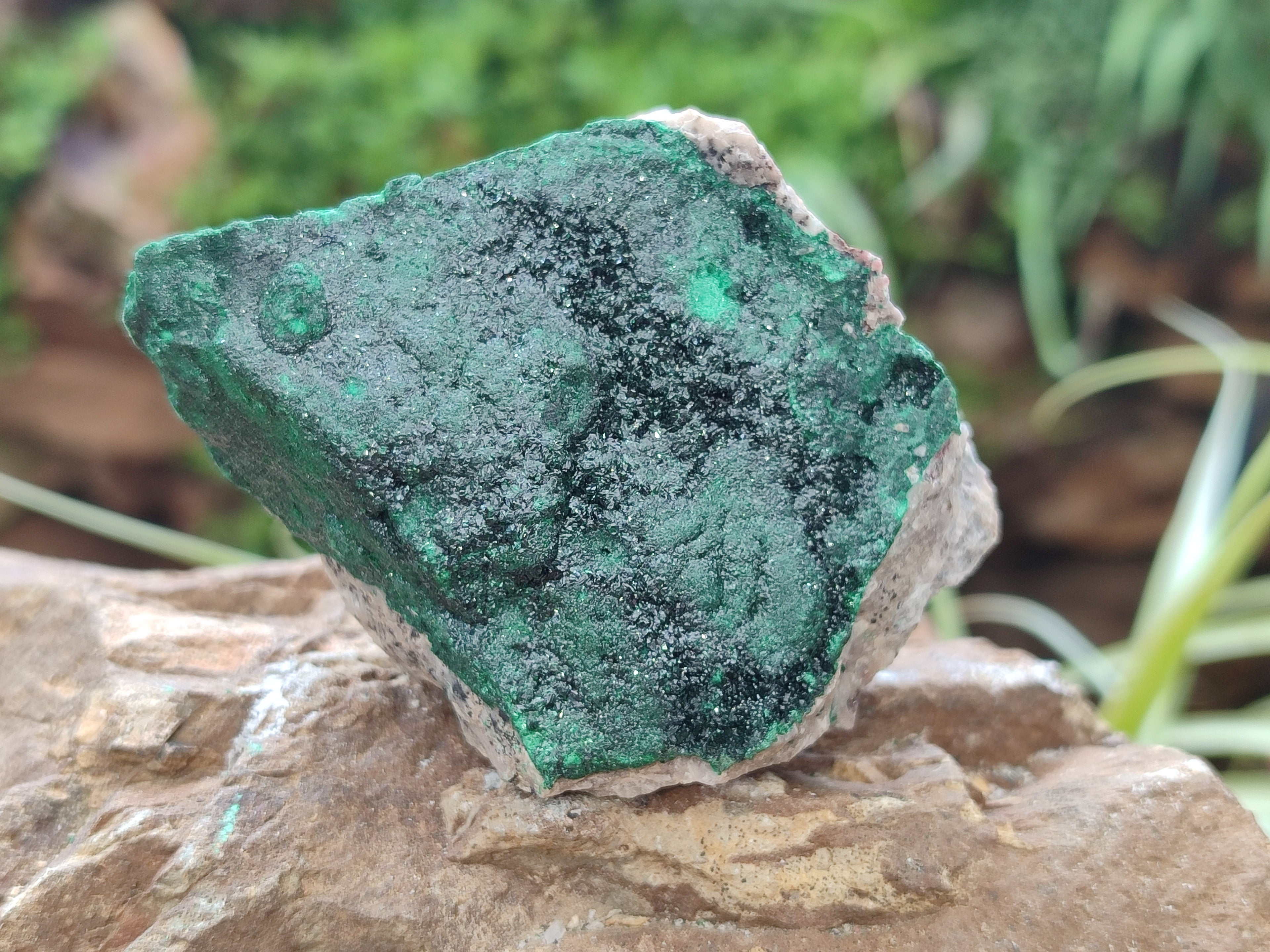 Natural Botryoidal Malachite Specimens x 6 From Congo - Toprock Gemstones and Minerals 