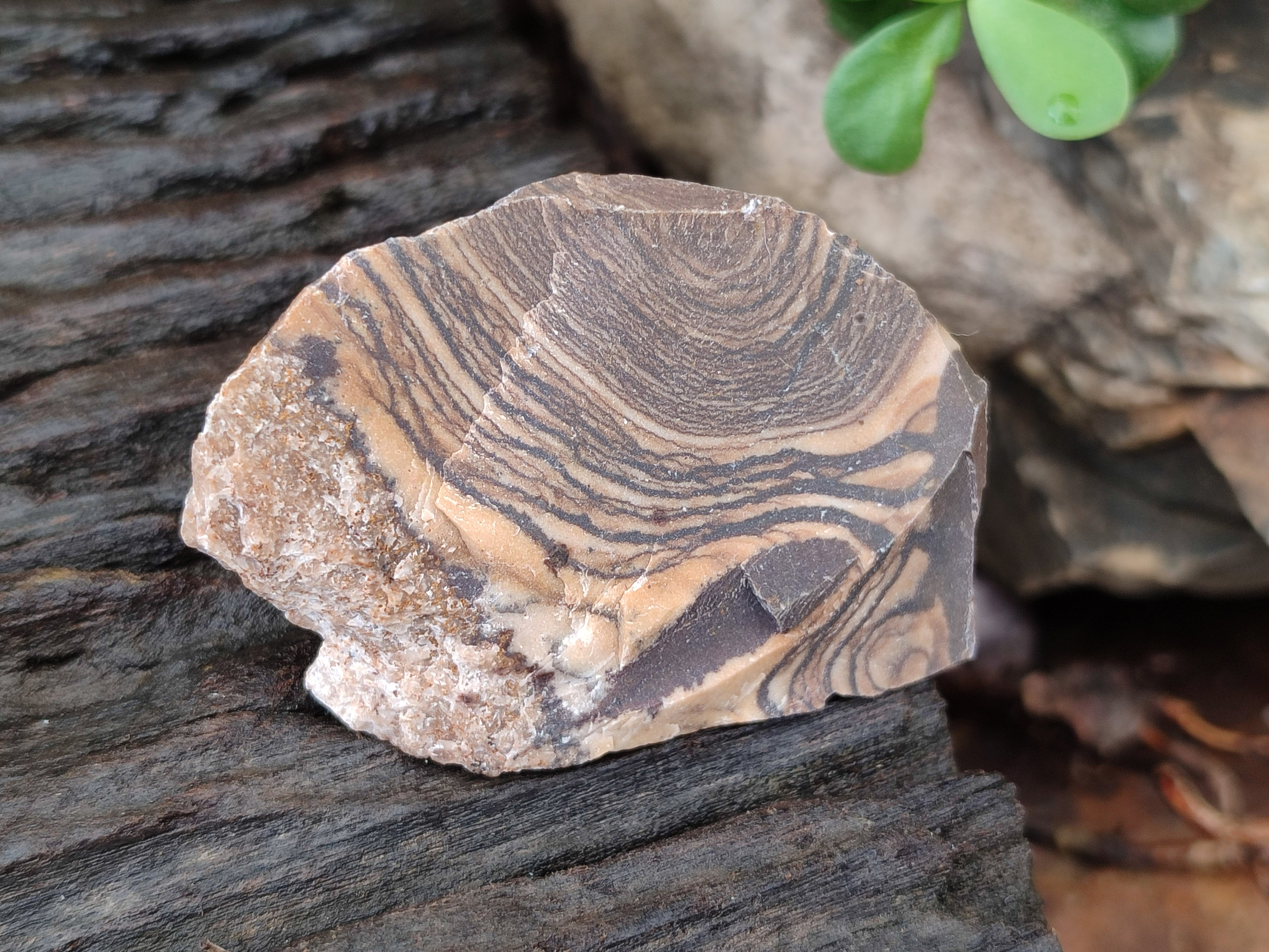 Natural Nguni Jasper Cobbed Specimens x 24 From Prieska, South Africa - Toprock Gemstones and Minerals 