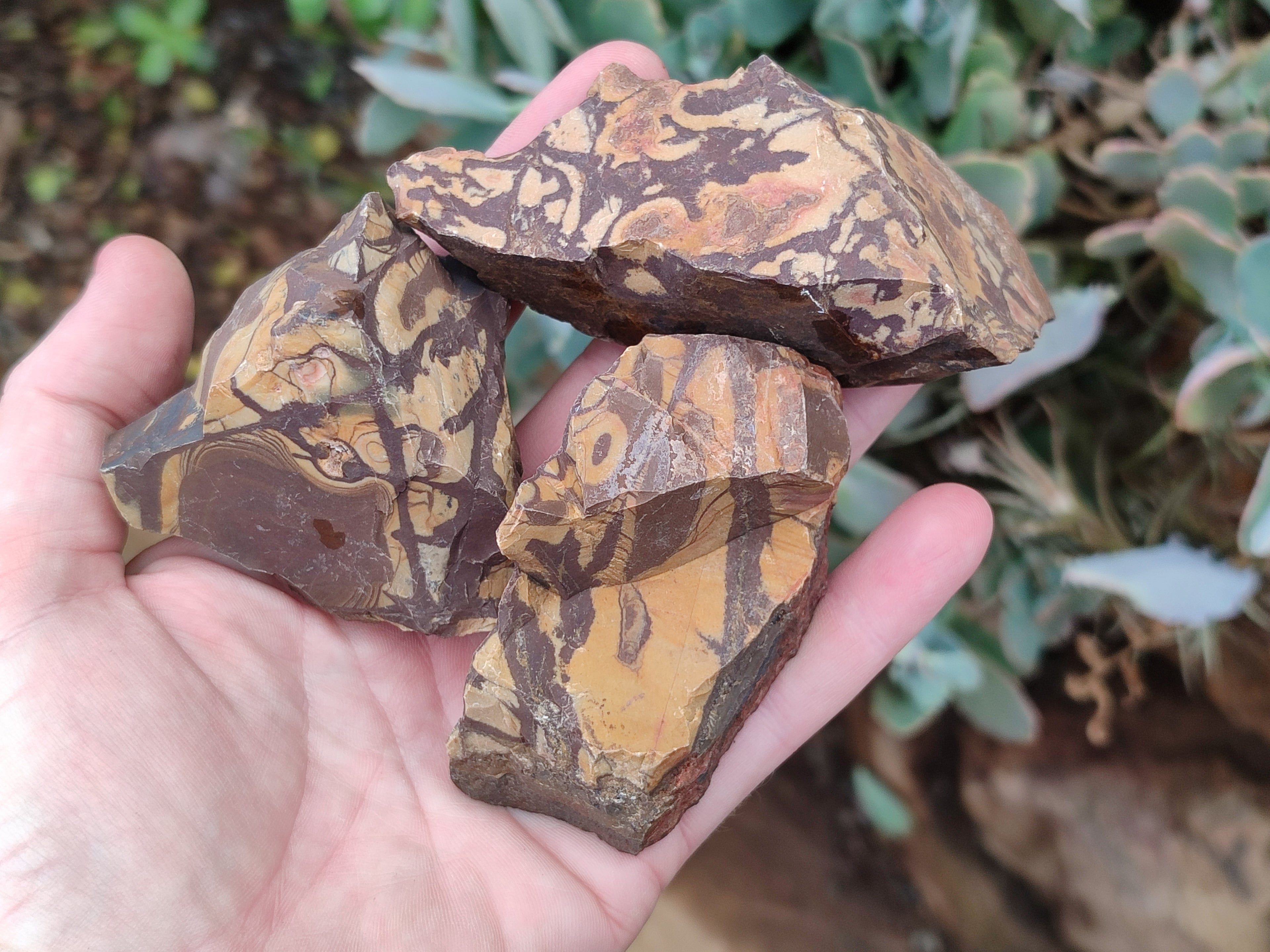 Natural Nguni Jasper Cobbed Specimens x 24 From Prieska, South Africa - Toprock Gemstones and Minerals 