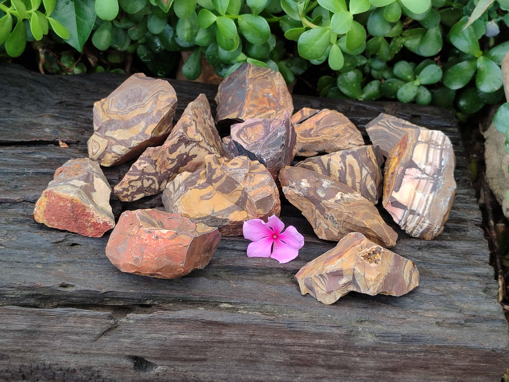 Natural Nguni Jasper Cobbed Specimens x 24 From Prieska, South Africa - Toprock Gemstones and Minerals 