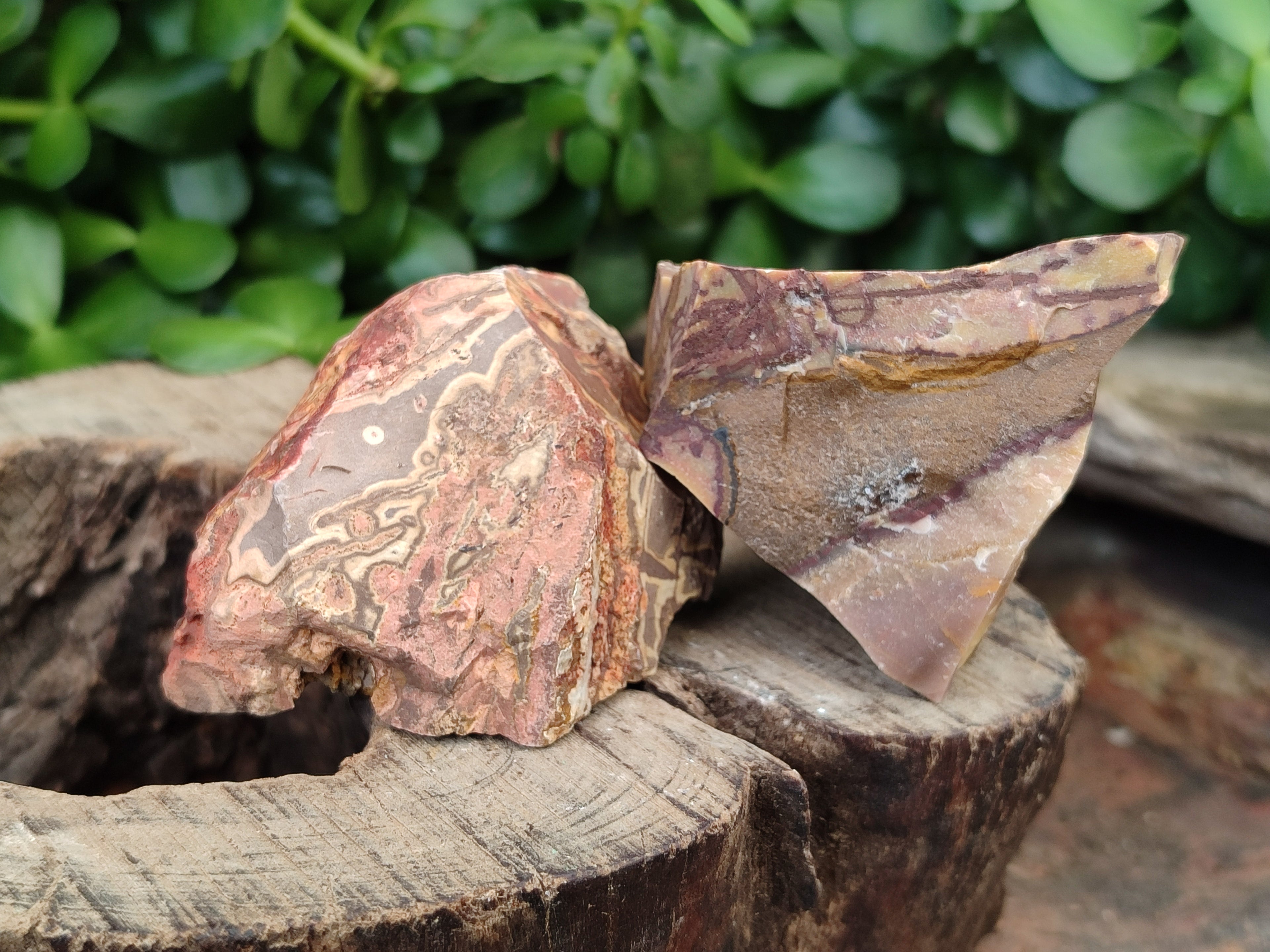 Natural Nguni Jasper Cobbed Specimens x 24 From Prieska, South Africa - Toprock Gemstones and Minerals 