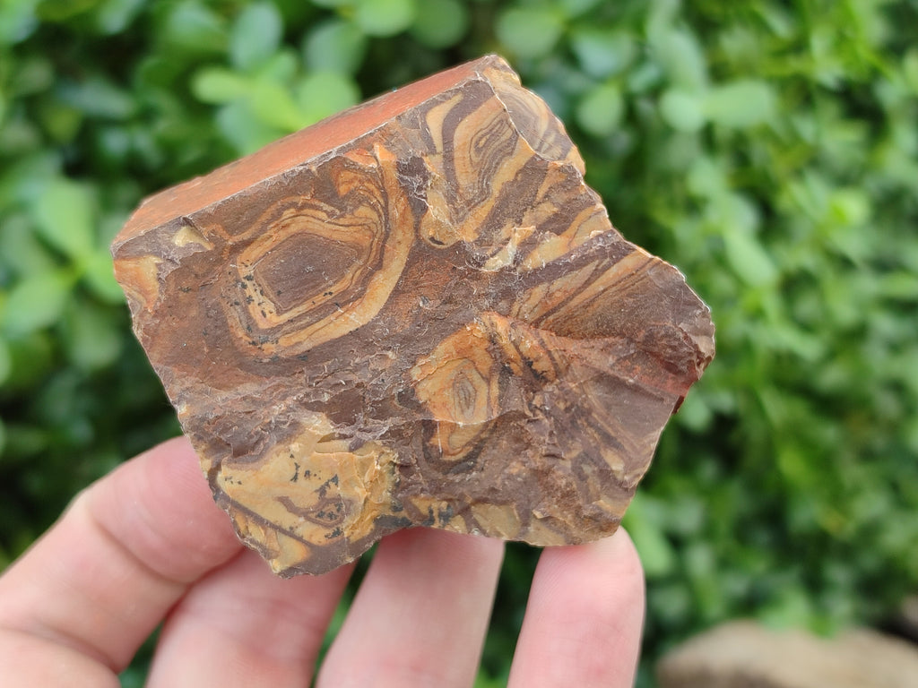 Natural Nguni Jasper Cobbed Specimens x 24 From Prieska, South Africa - Toprock Gemstones and Minerals 