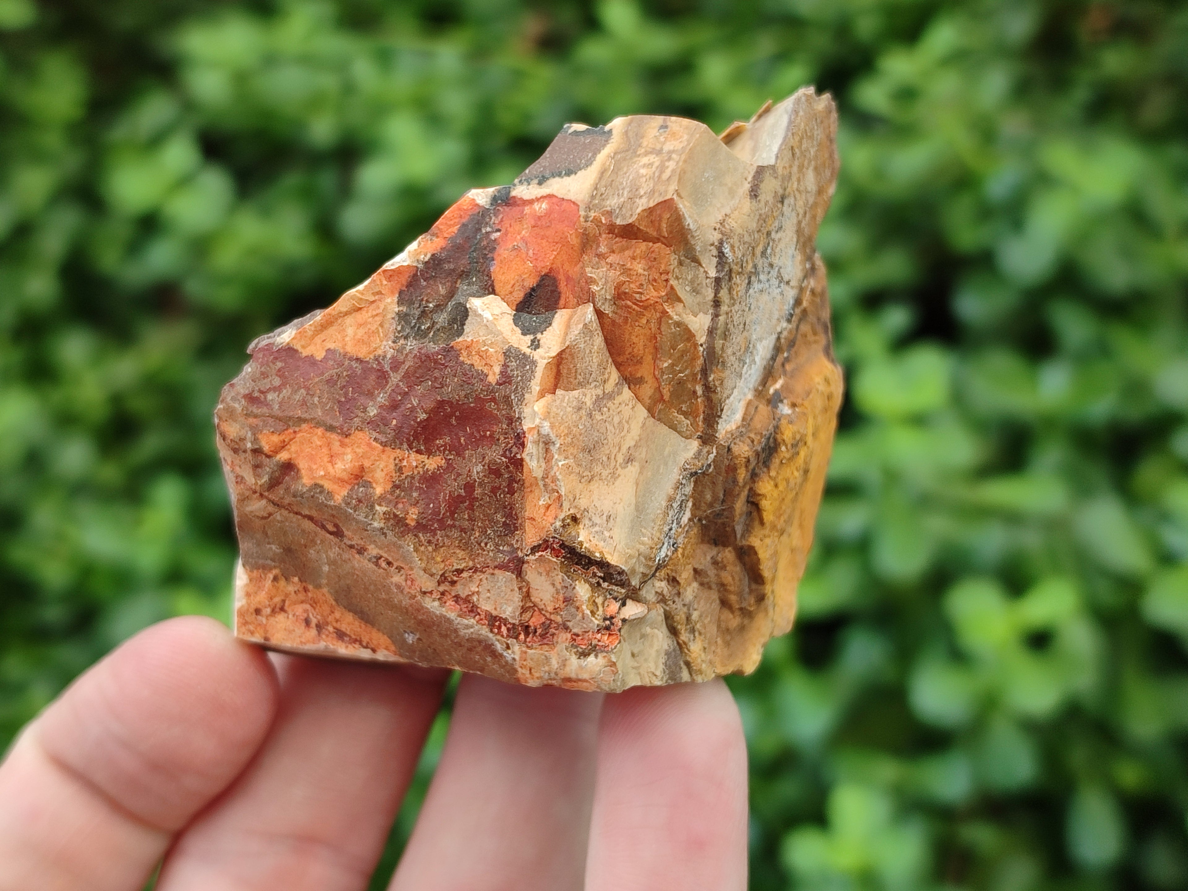 Natural Nguni Jasper Cobbed Specimens x 24 From Prieska, South Africa - Toprock Gemstones and Minerals 