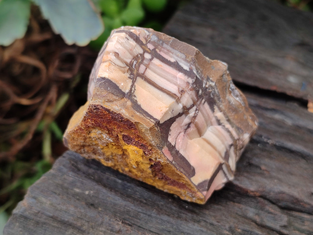 Natural Nguni Jasper Cobbed Specimens x 24 From Prieska, South Africa - Toprock Gemstones and Minerals 