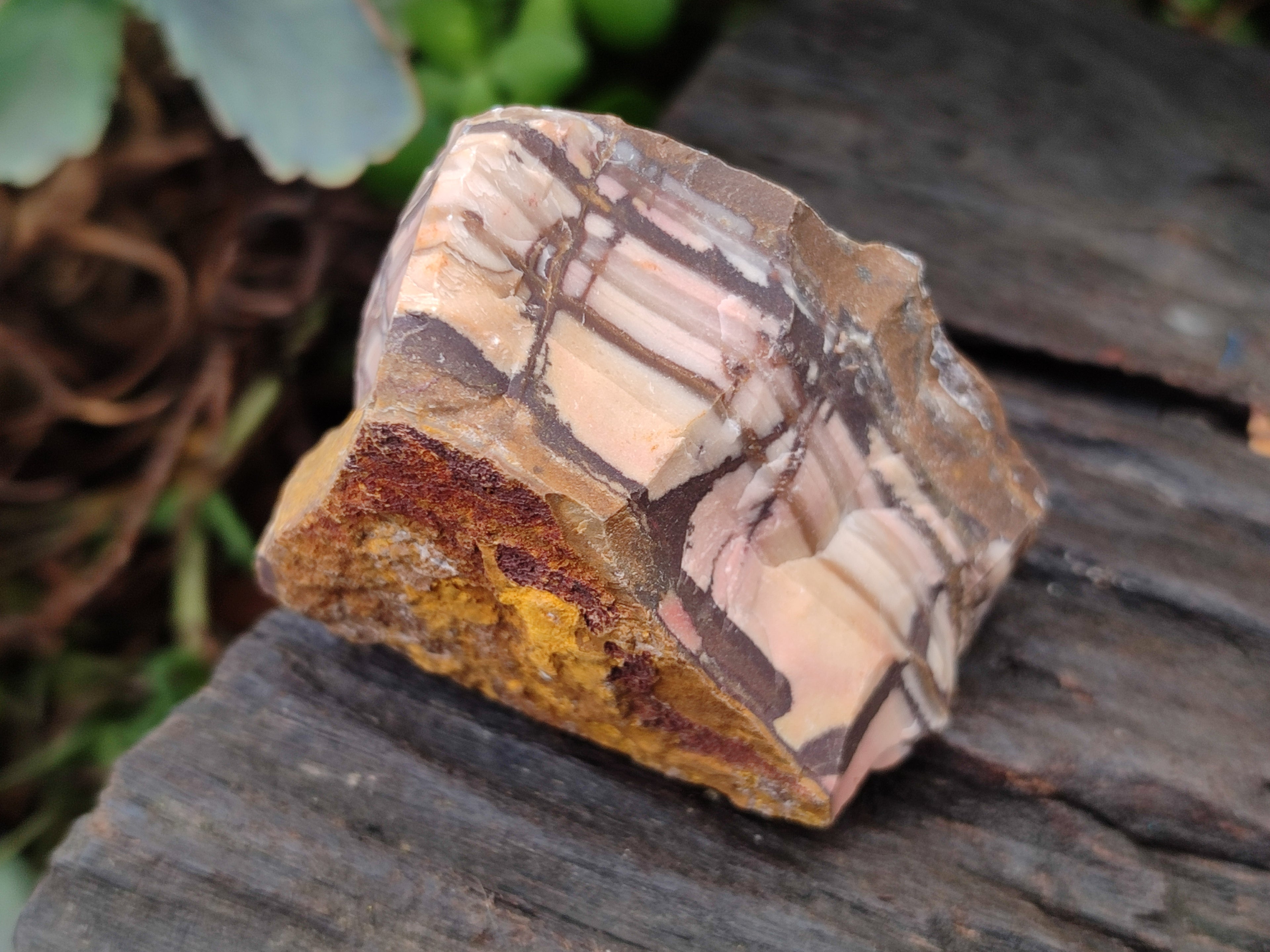 Natural Nguni Jasper Cobbed Specimens x 24 From Prieska, South Africa - Toprock Gemstones and Minerals 