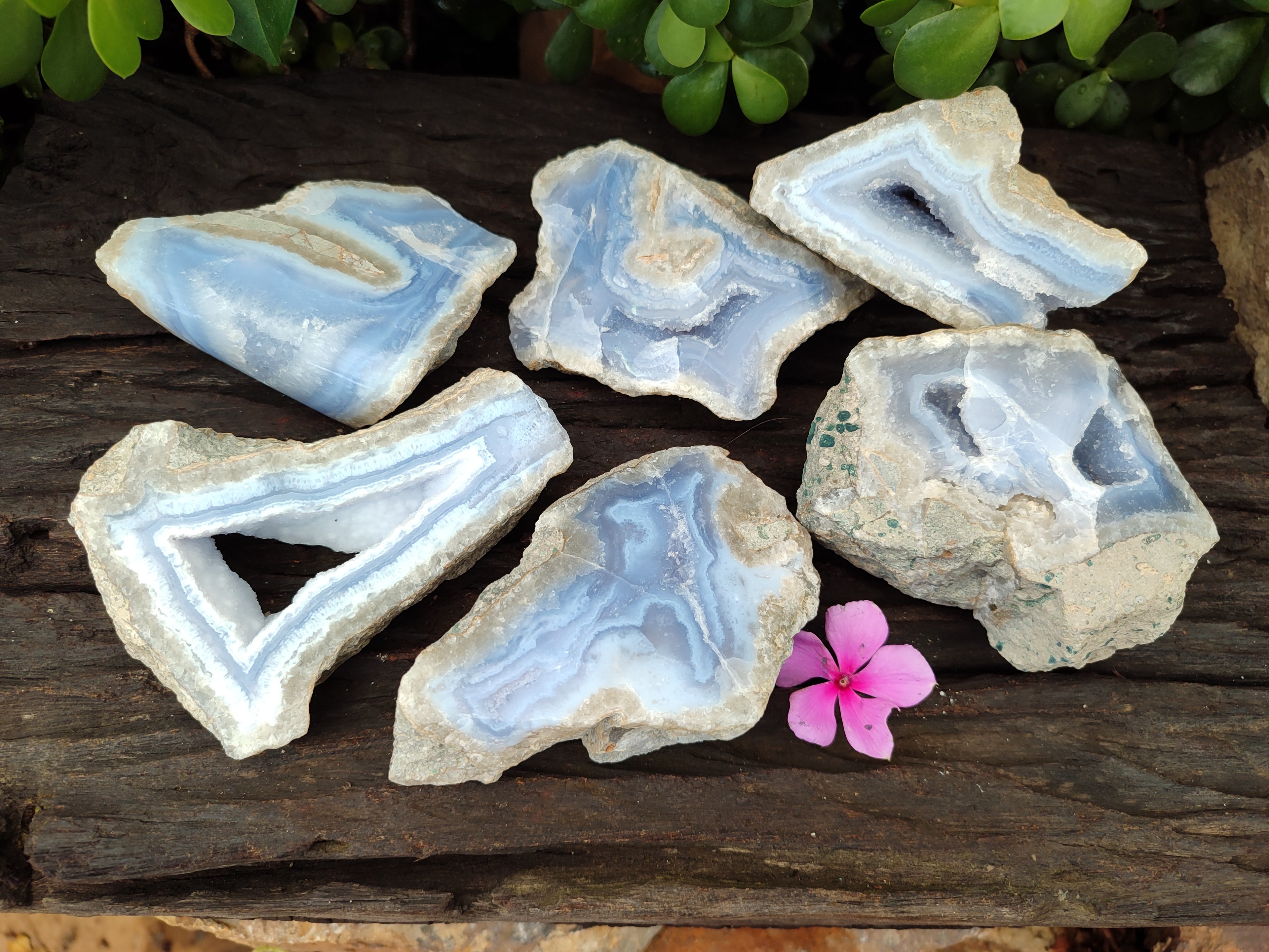 Polished on One Side Blue Lace Agate Geodes x 6 From Nsanje, Malawi - Toprock Gemstones and Minerals 