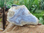Polished on One Side Blue Lace Agate Geodes x 6 From Nsanje, Malawi - Toprock Gemstones and Minerals 