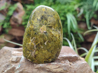 Polished Green Opal Standing Free Forms x 6 From Antsirabe, Madagascar - Toprock Gemstones and Minerals 
