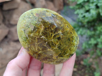 Polished Green Opal Standing Free Forms x 6 From Antsirabe, Madagascar - Toprock Gemstones and Minerals 