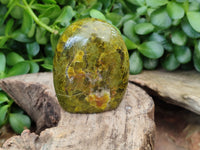 Polished Green Opal Standing Free Forms x 6 From Antsirabe, Madagascar - Toprock Gemstones and Minerals 