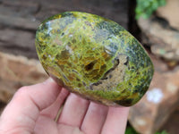 Polished Green Opal Standing Free Forms x 6 From Antsirabe, Madagascar - Toprock Gemstones and Minerals 