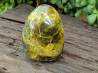 Polished Green Opal Standing Free Forms x 6 From Antsirabe, Madagascar - Toprock Gemstones and Minerals 