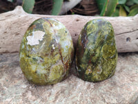 Polished Green Opal Standing Free Forms x 6 From Antsirabe, Madagascar - Toprock Gemstones and Minerals 
