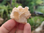 Natural Limonite Quartz Clusters x 70 From Solwezi, Zambia - Toprock Gemstones and Minerals 