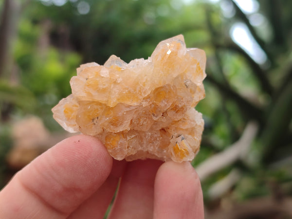 Natural Limonite Quartz Clusters x 70 From Solwezi, Zambia - Toprock Gemstones and Minerals 