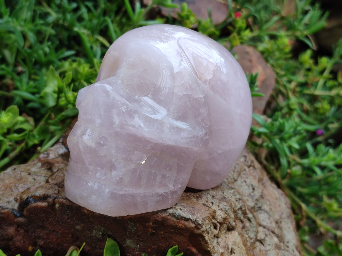 Hand Made Rose Quartz Skull Carving x 1 From Madagascar - Toprock Gemstones and Minerals 