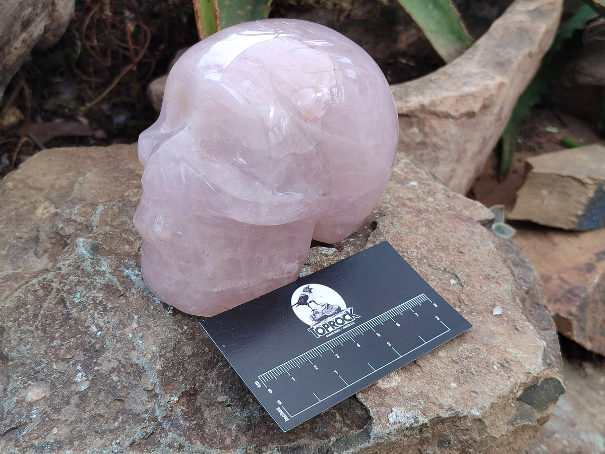 Hand Made Rose Quartz Skull Carving x 1 From Madagascar - Toprock Gemstones and Minerals 