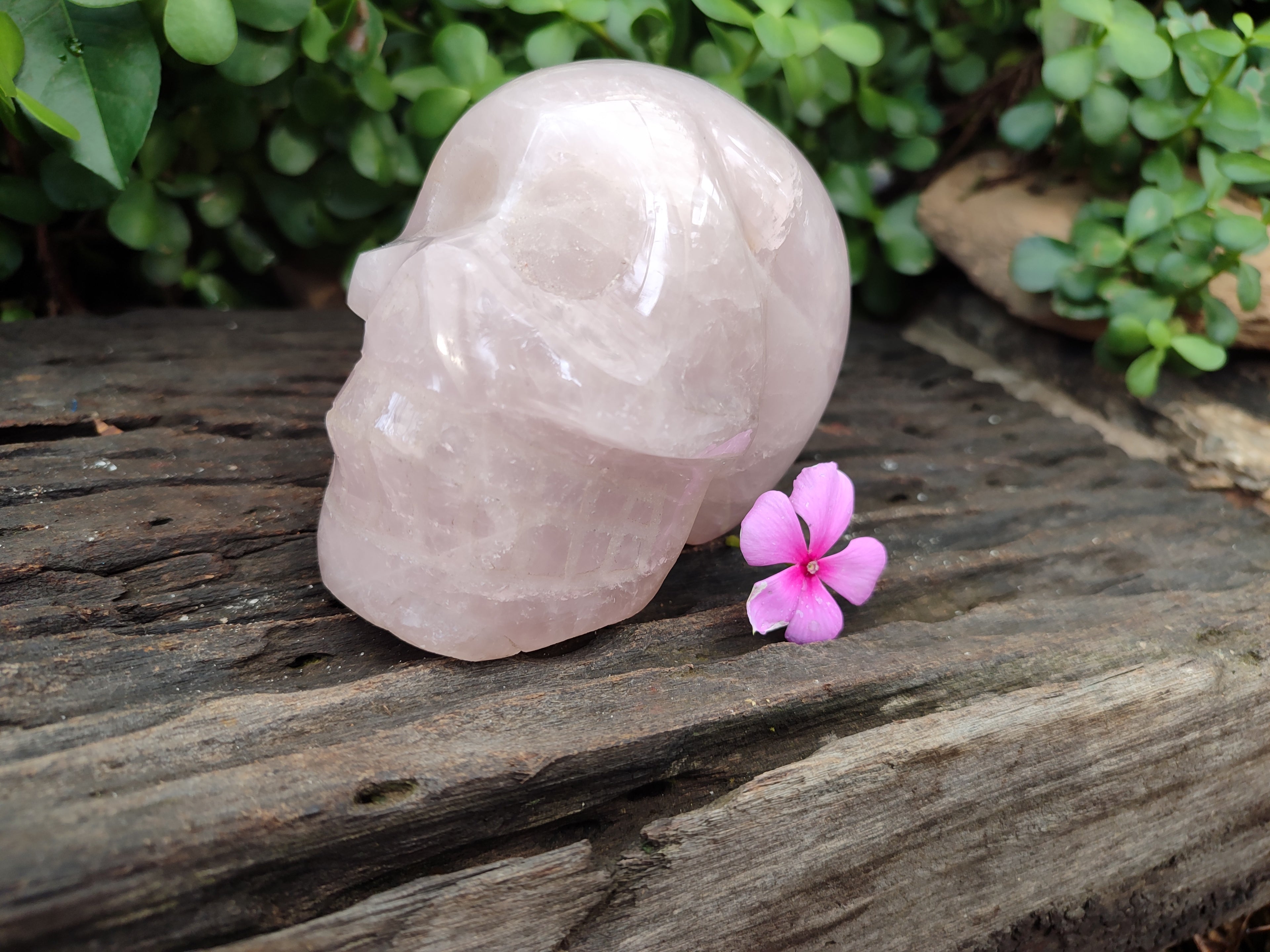 Hand Made Rose Quartz Skull Carving x 1 From Madagascar - Toprock Gemstones and Minerals 