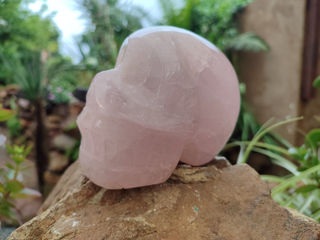 Hand Made Rose Quartz Skull Carving x 1 From Madagascar - Toprock Gemstones and Minerals 