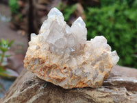 Natural Spirit Quartz Clusters x 12 From Boekenhouthoek, South Africa - Toprock Gemstones and Minerals 