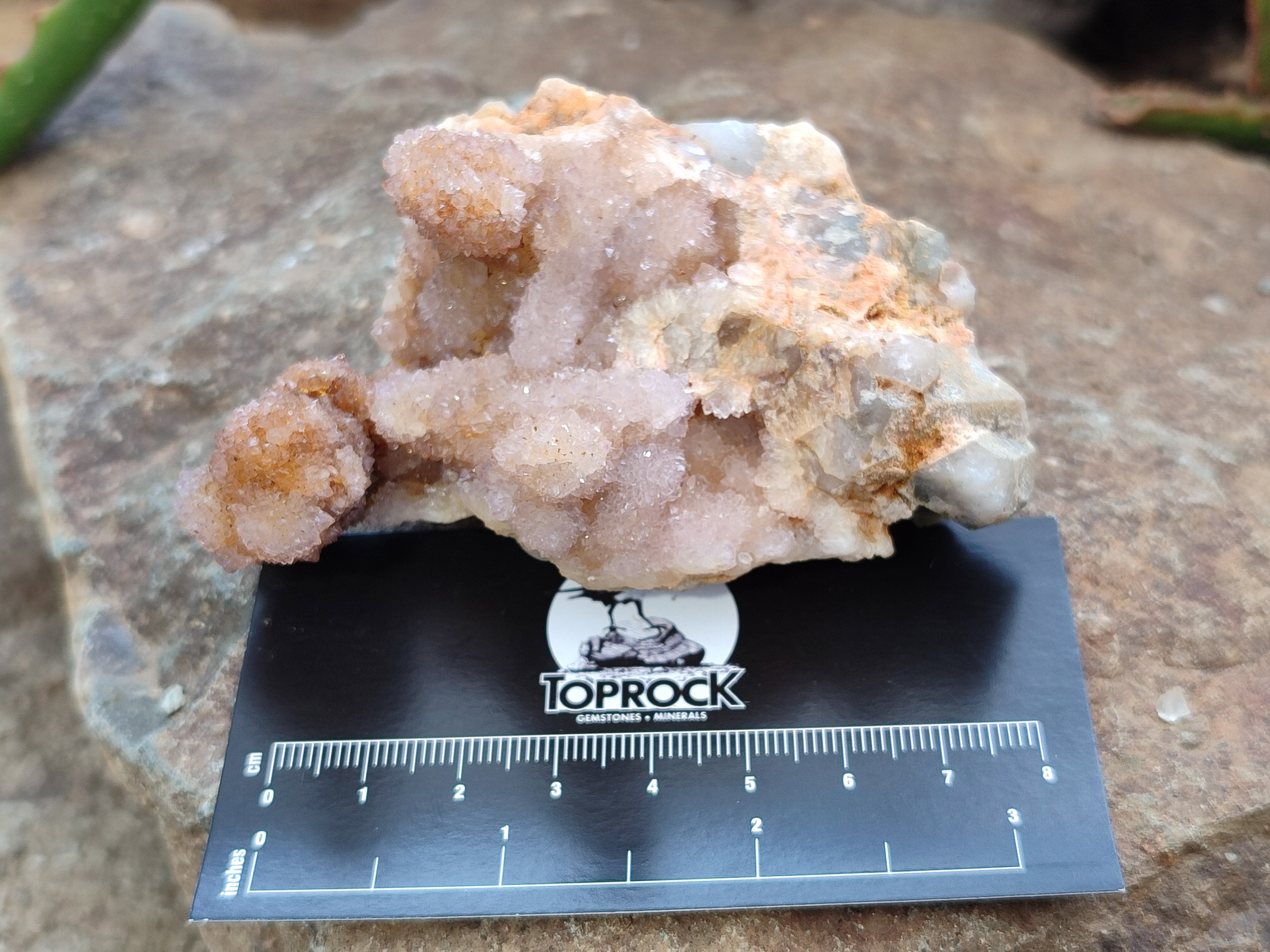 Natural Spirit Quartz Clusters x 12 From Boekenhouthoek, South Africa - Toprock Gemstones and Minerals 