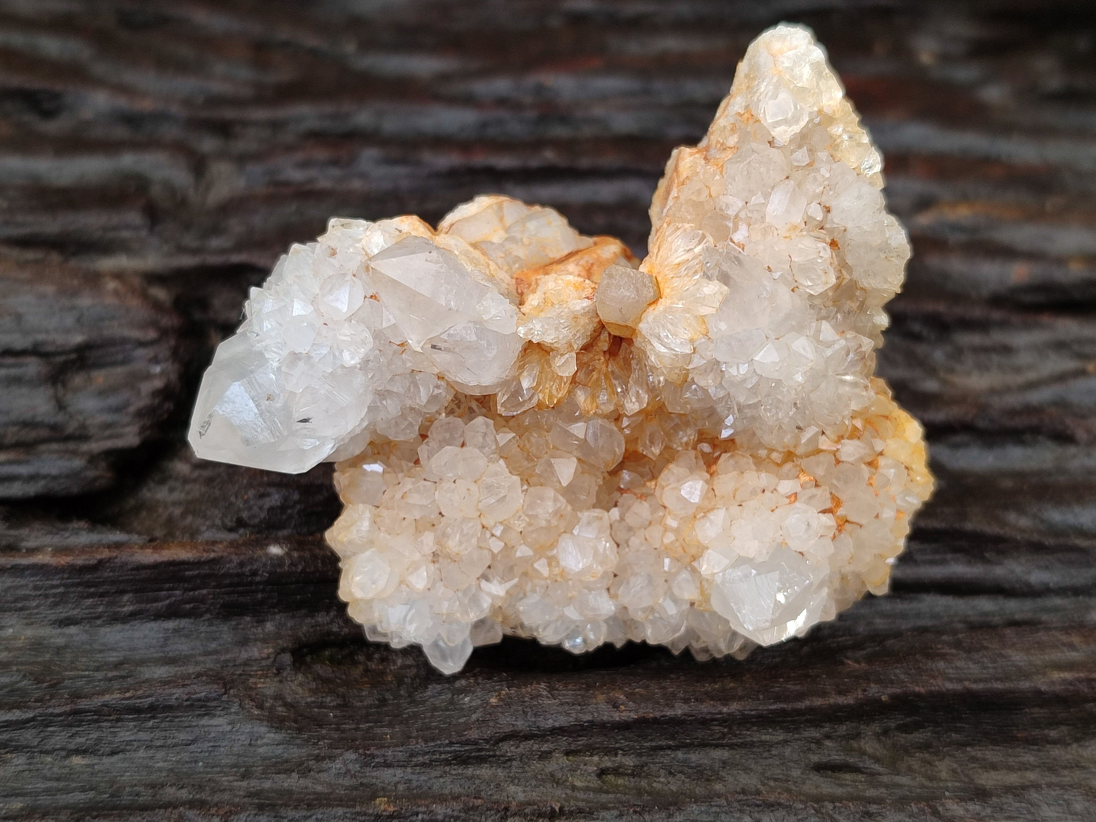 Natural Spirit Quartz Clusters x 12 From Boekenhouthoek, South Africa - Toprock Gemstones and Minerals 