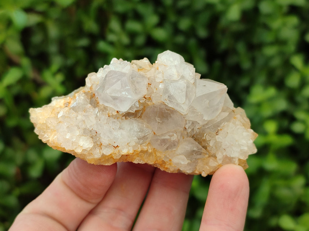Natural Spirit Quartz Clusters x 12 From Boekenhouthoek, South Africa - Toprock Gemstones and Minerals 