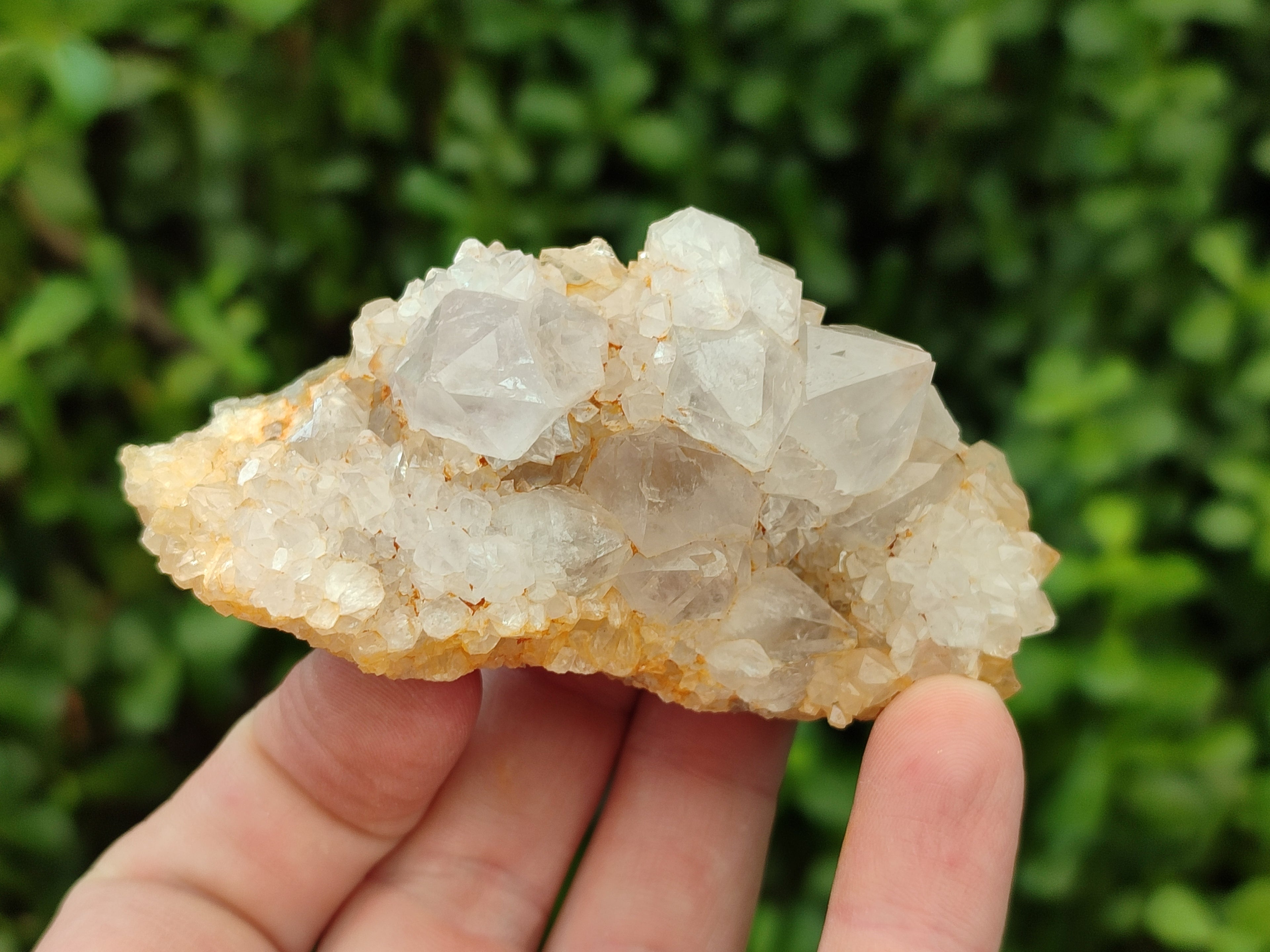 Natural Spirit Quartz Clusters x 12 From Boekenhouthoek, South Africa - Toprock Gemstones and Minerals 